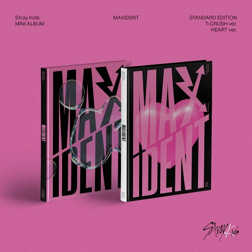 STRAY KIDS - 'MAXIDENT' (Photobook ver.)